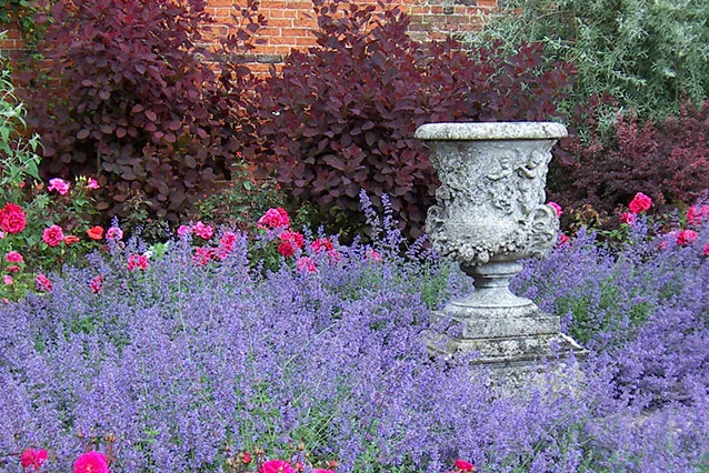Üppig blühende Staudenbeete im Garten