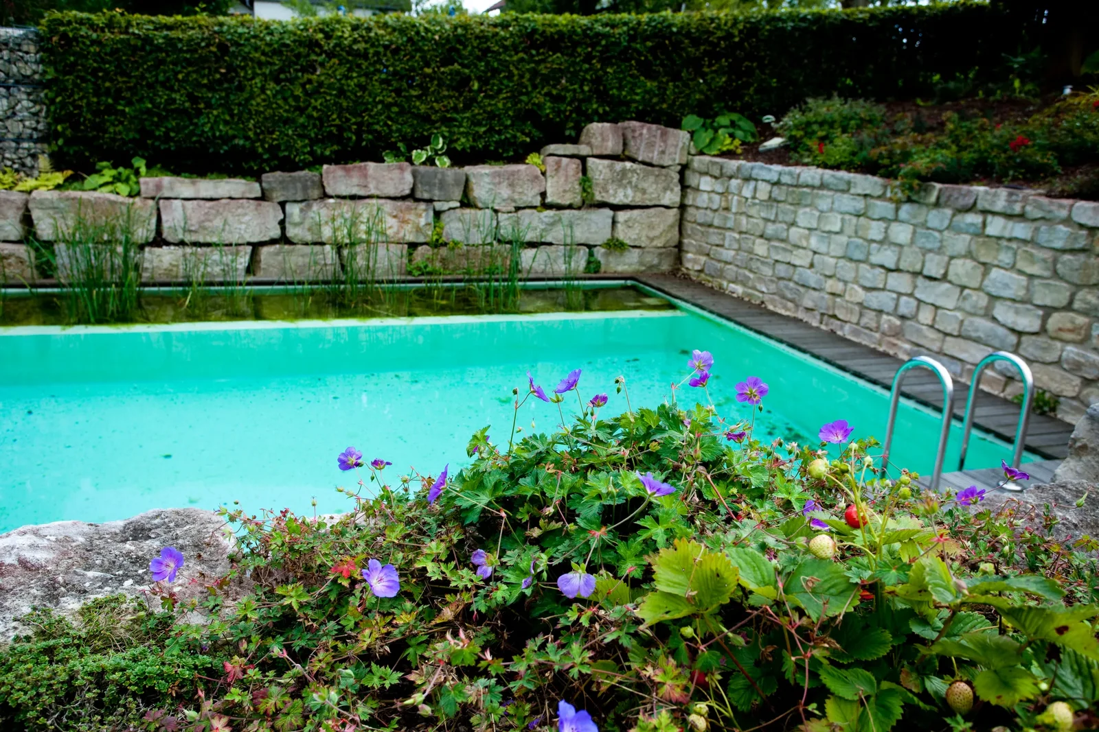 Gebautes Ergebnis: Naturpool mit Natursteinmauern und Terrasse von Gartengestaltung Buß