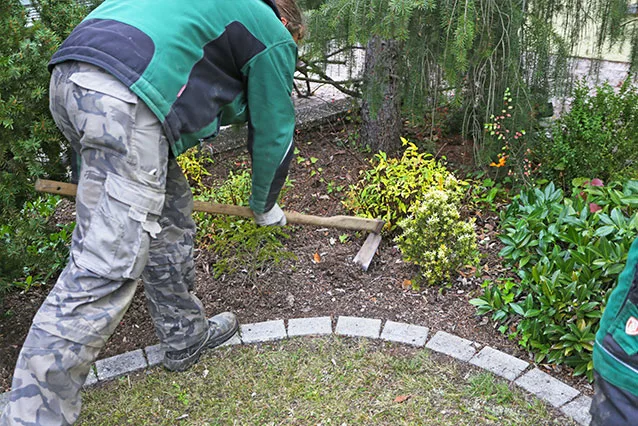 Gemulchtes Staudenbeet mit Rindenmulch als Bodenabdeckung