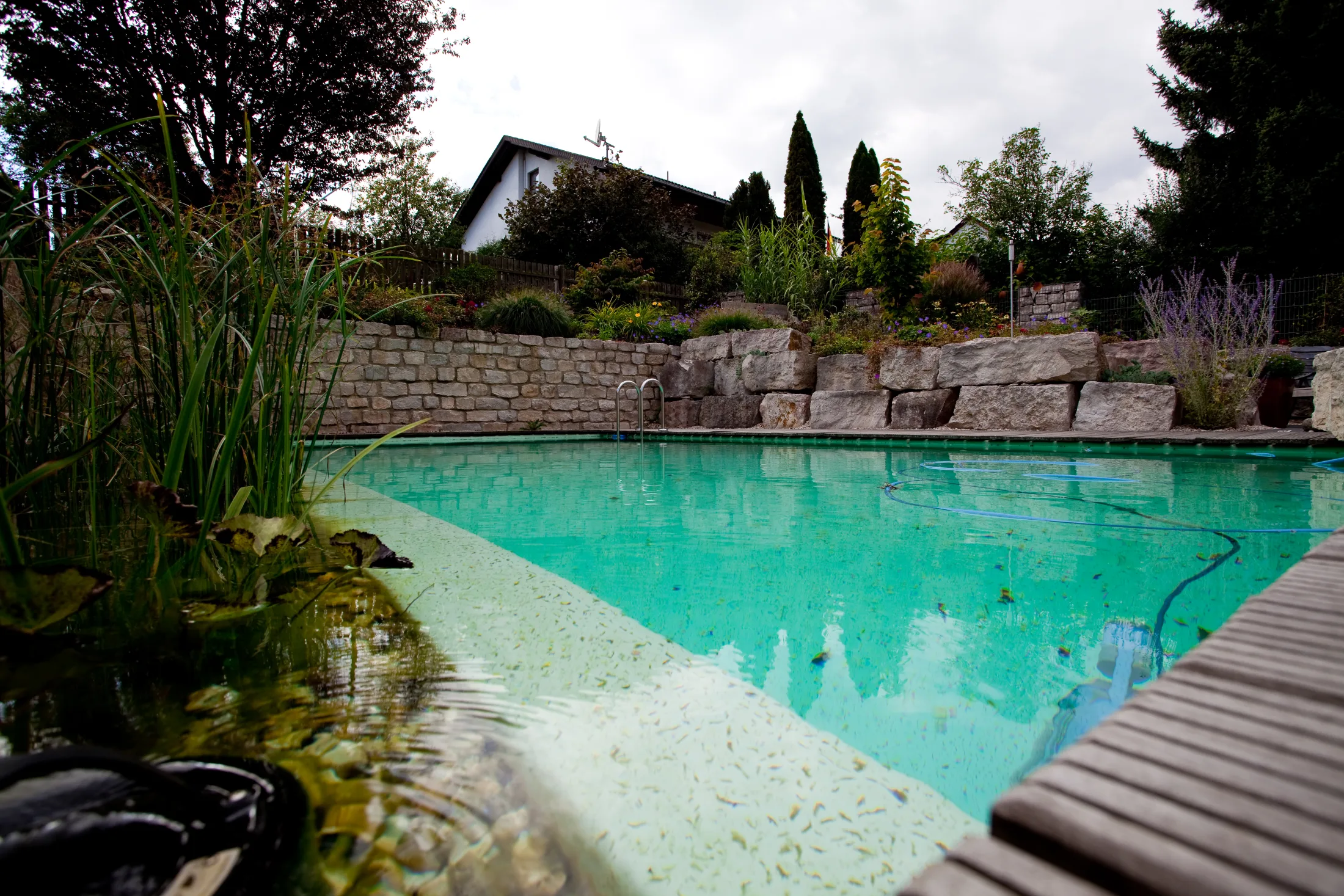 Naturpool mit Holzdeck und Bepflanzung