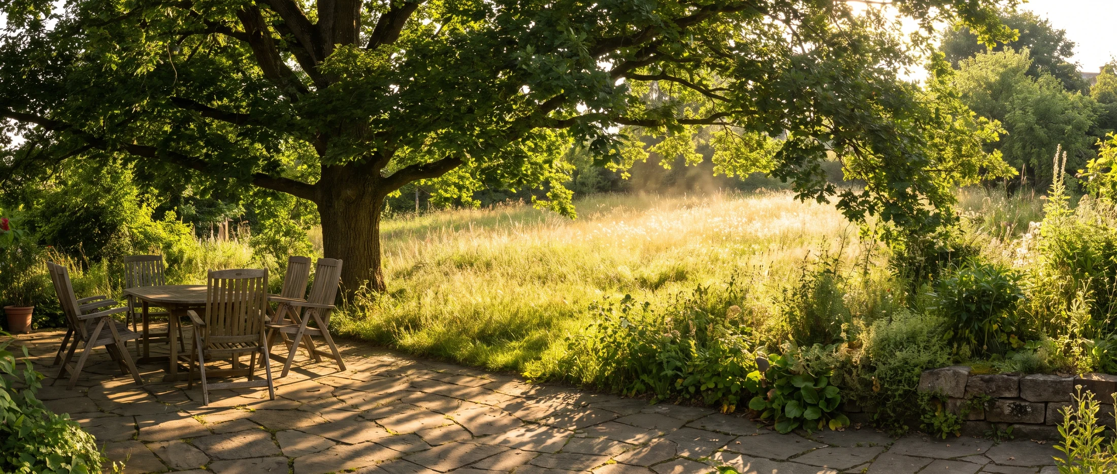 Großer Laubbaum wirft kühlen Schatten auf eine Natursteinterrasse