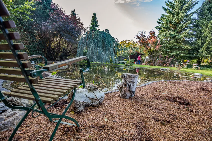 Gartenteich mit dicht bepflanzter Uferzone