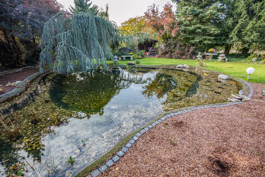 Blick über die bepflanzte Teichanlage mit über 100 m² Wasserfläche in Biebertal bei Gießen