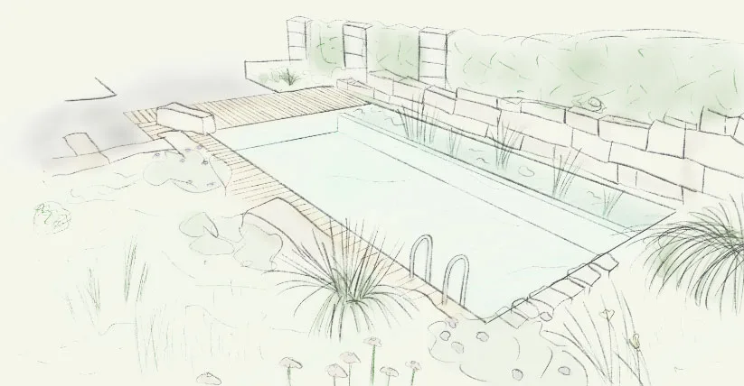 Naturpool mit angrenzender Holzterrasse in einem Privatgarten